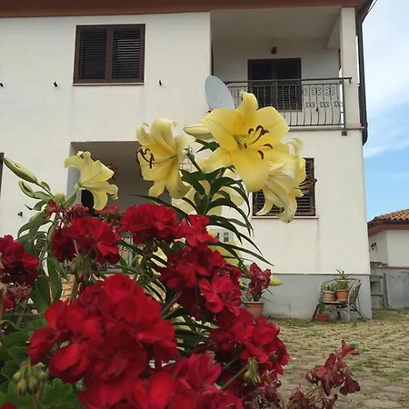 Appartement Bodi *