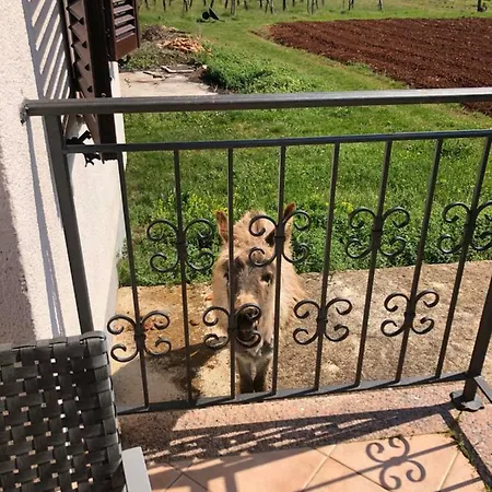 Appartamento Bodi